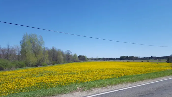 White Pine Trail Parking - Cadillac Picture 2