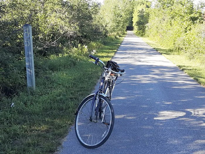 White Pine Trail Parking - Cadillac Picture 3