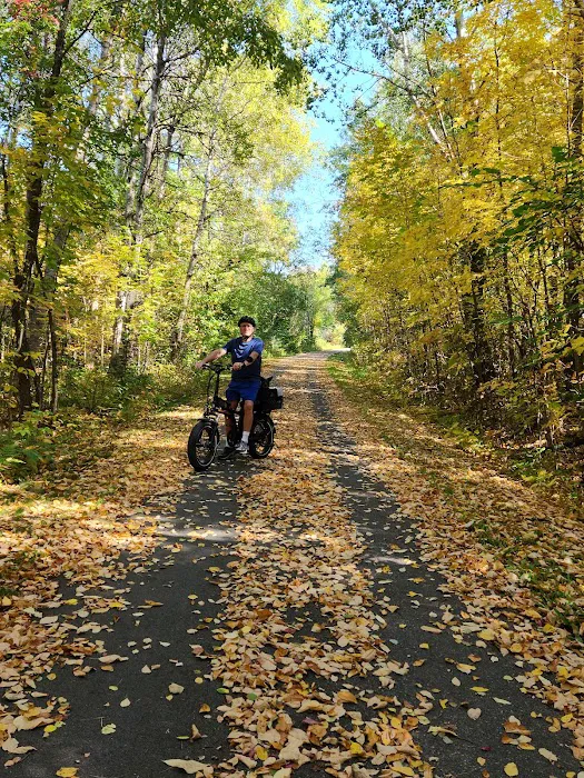 White Pine Trail Parking - Cadillac Picture 6