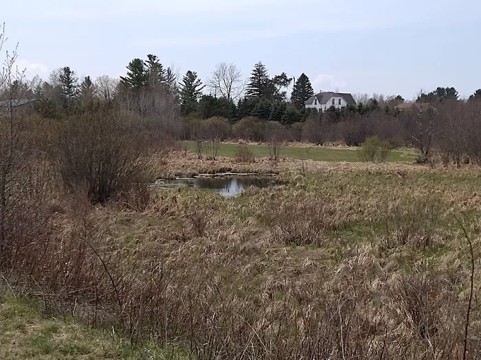 White Pine Trail Parking - Cadillac Picture 5