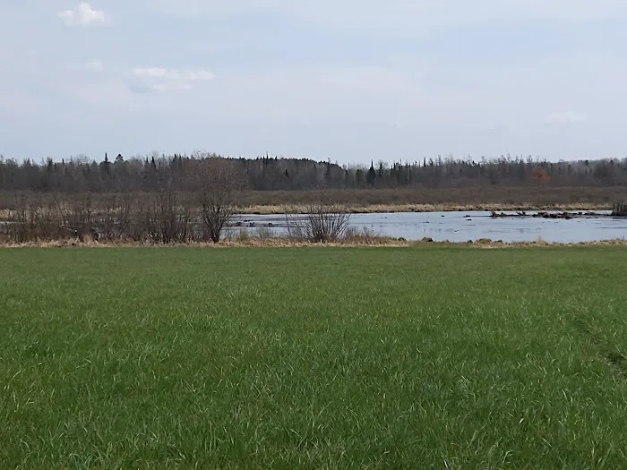 White Pine Trail Parking - Cadillac Picture 9