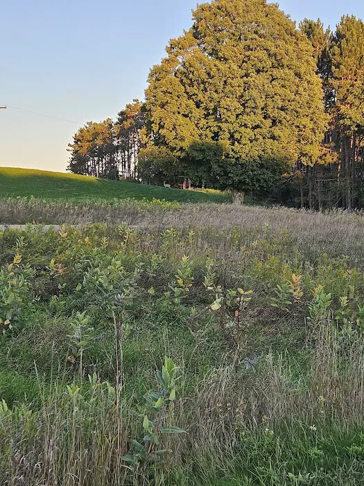 White Pine Trail Parking - Cadillac Picture 8