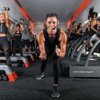 Shred415 Hinsdale ico