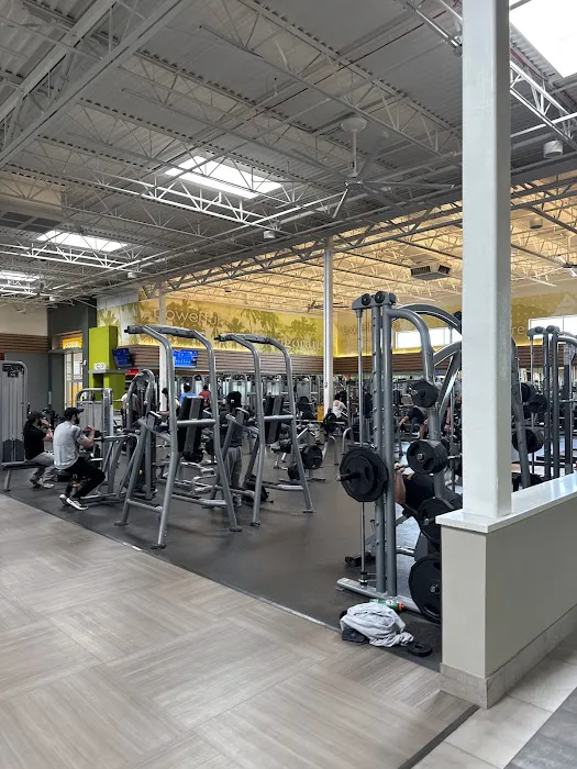 LA Fitness Picture 2