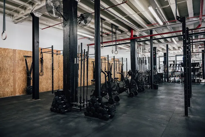 Coalition Strength & Conditioning Picture 3