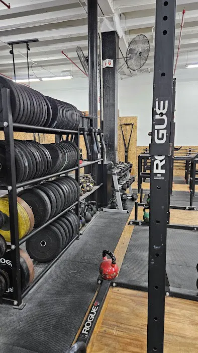 Coalition Strength & Conditioning Picture 8