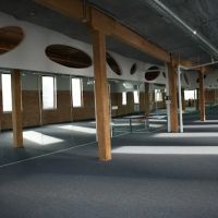 Bikram Yoga Chicago IL ico