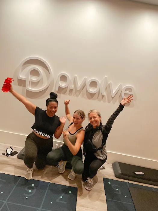 Pvolve Chicago Picture 4