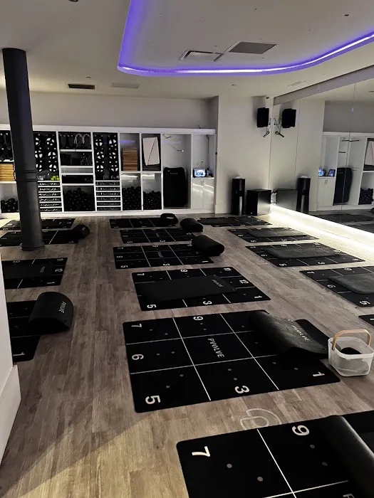 Pvolve Chicago Picture 8