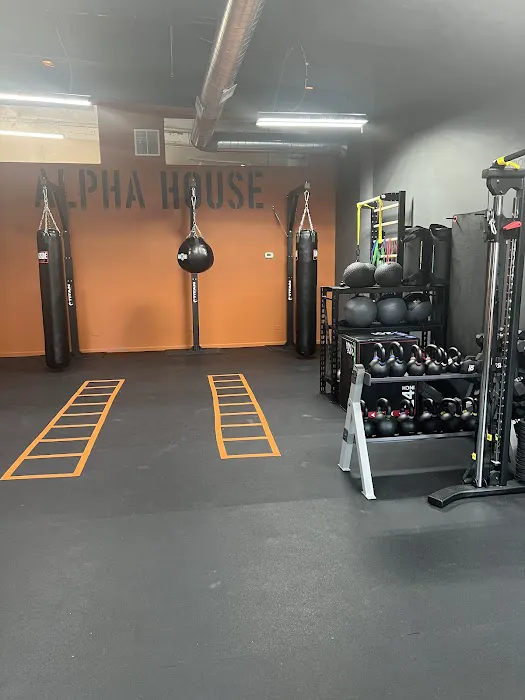 Alphahouse Fitness Picture 7