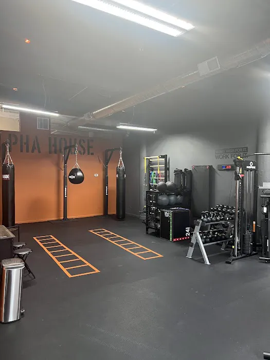 Alphahouse Fitness Picture 5