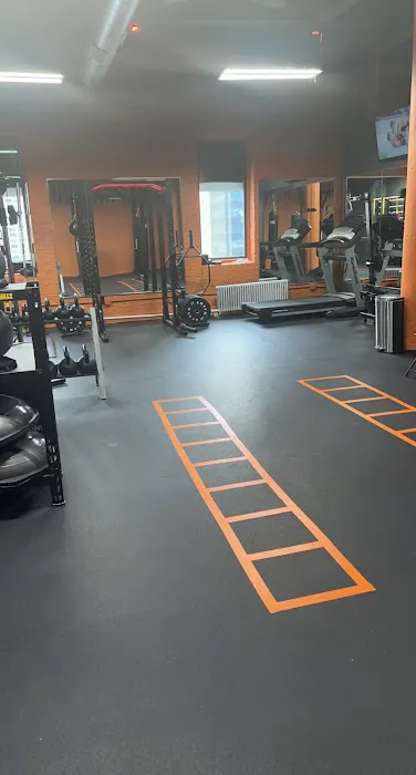 Alphahouse Fitness Picture 6