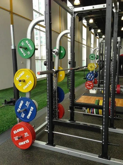 Performance Training Systems Picture 2