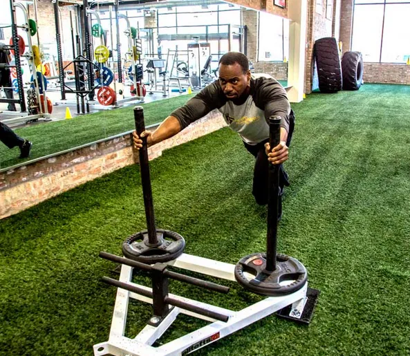 Performance Training Systems Picture 8