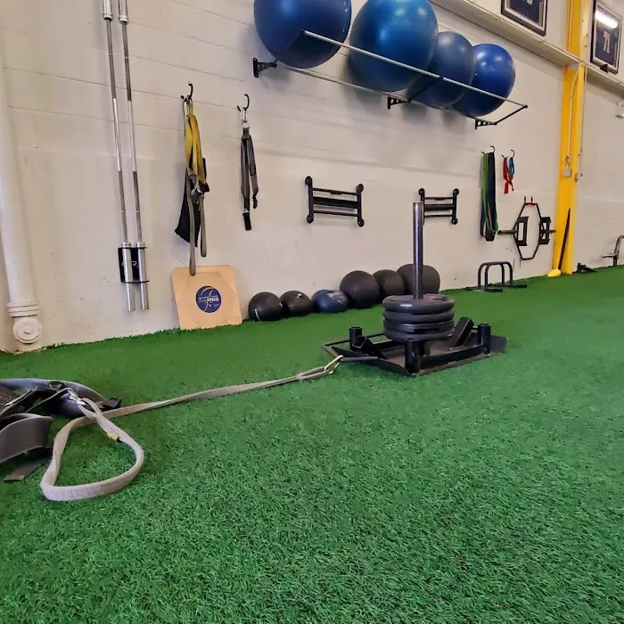 Performance Training Systems Picture 5