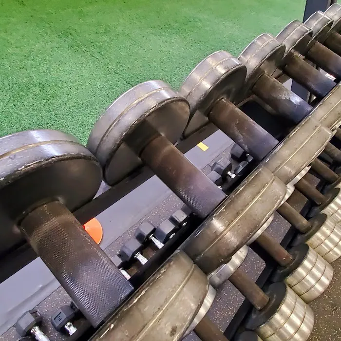 Performance Training Systems Picture 10