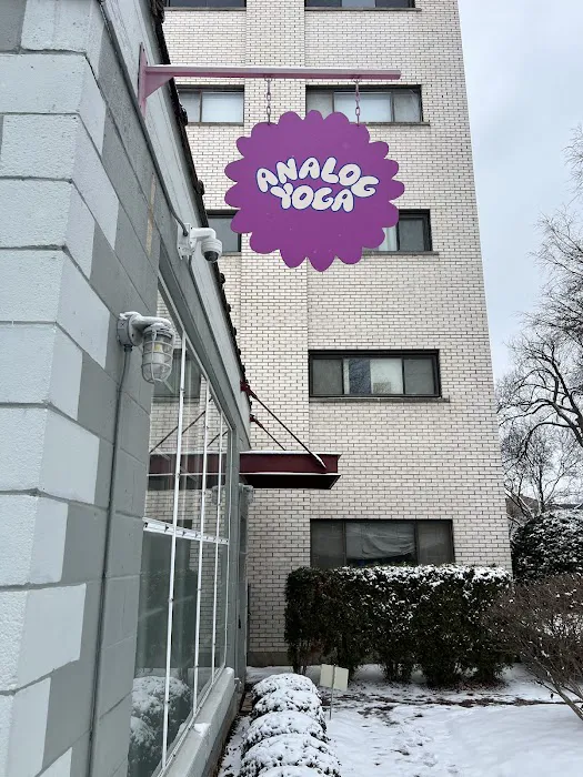 Analog Yoga Picture 5