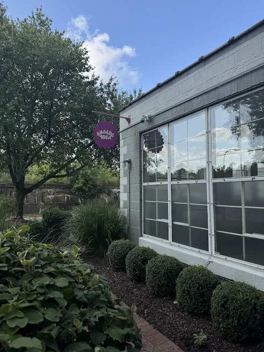 Analog Yoga Picture 4