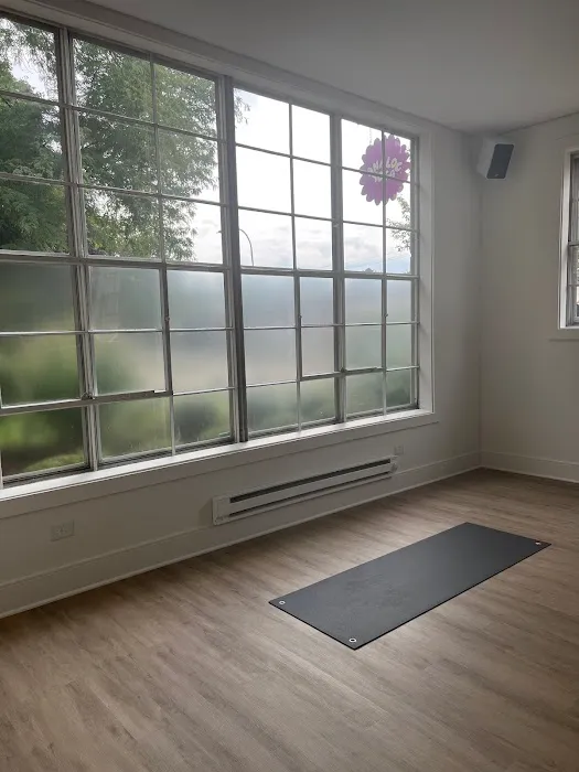 Analog Yoga Picture 7