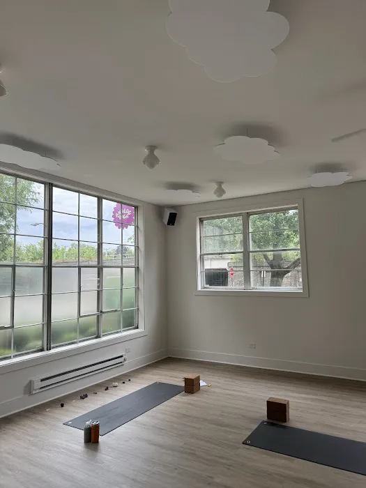 Analog Yoga Picture 8