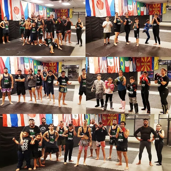 The Fight Farm Picture 3