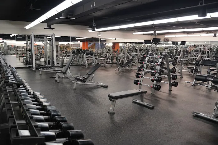 Lakeshore Sport & Fitness Picture 2