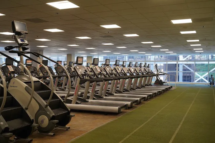 Lakeshore Sport & Fitness Picture 3