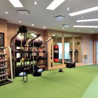Trump Chicago Fitness Center ico