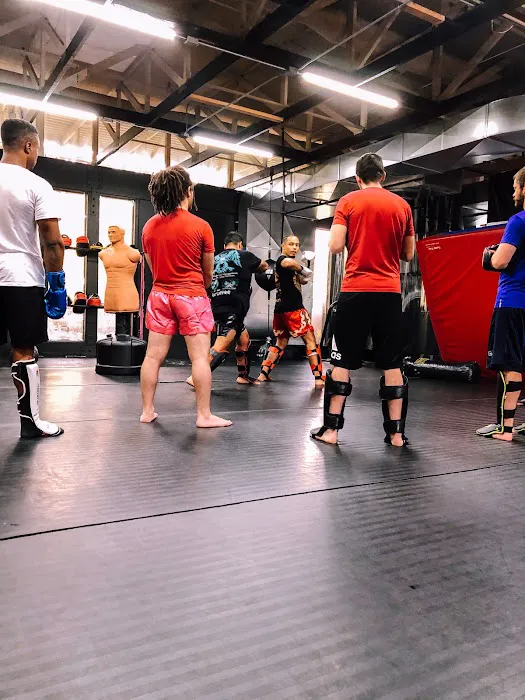 Phoenix Sports Empire Picture 3