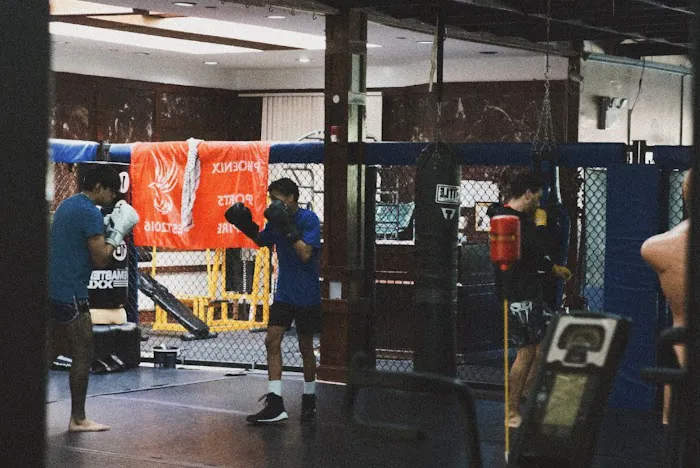 Phoenix Sports Empire Picture 8