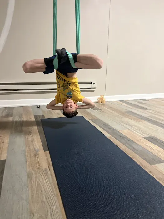 Rise Aerial and Yoga Fitness Picture 3