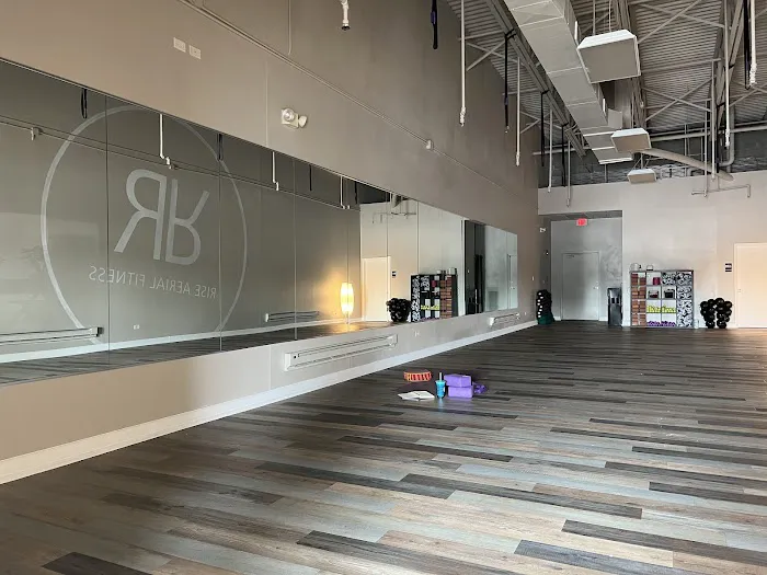 Rise Aerial and Yoga Fitness Picture 6