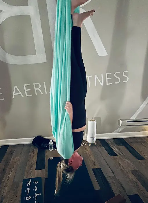 Rise Aerial and Yoga Fitness Picture 4