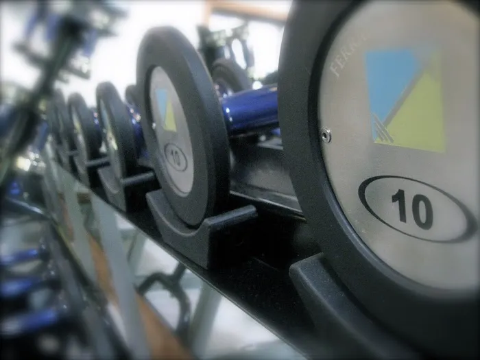 Ferraiolo Fitness Picture 2