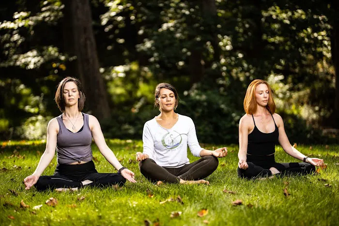 Easy Day Yoga & Meditation (Leesburg Loft) Picture 3