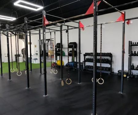 The House Barbell Club