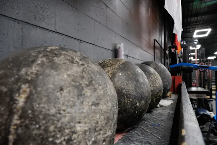 The House Barbell Club Picture 3