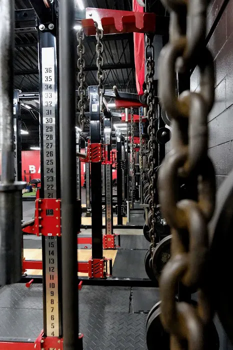 The House Barbell Club Picture 7