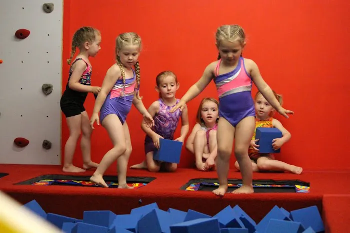 Peoria Elite Gymnastics Academy Picture 2