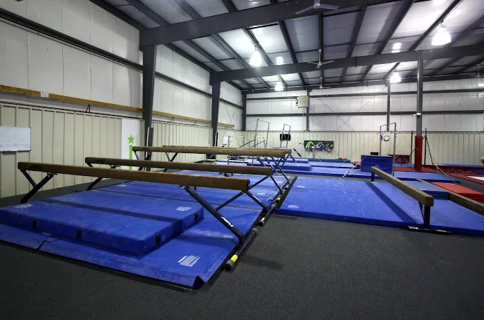Peoria Elite Gymnastics Academy Picture 1