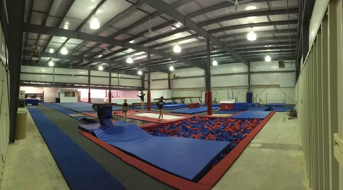 Peoria Elite Gymnastics Academy Picture 3