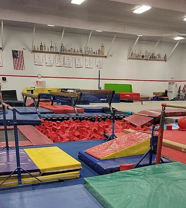 Agility Gymnastics Picture 2