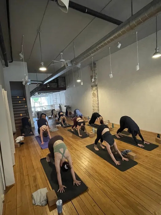 Wildflower Yoga Studio Picture 8