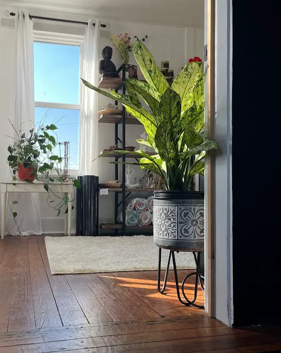 Alchemy Yoga Studio Picture 7