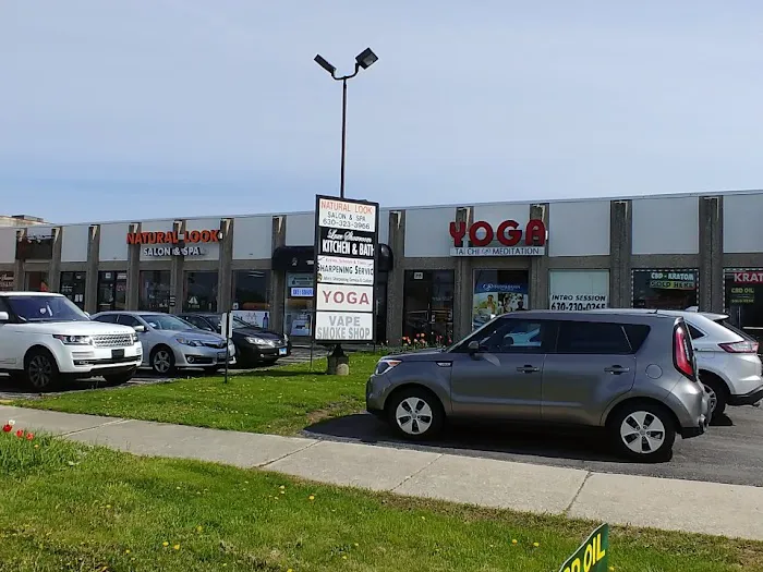 Body & Brain Yoga Tai Chi Picture 4