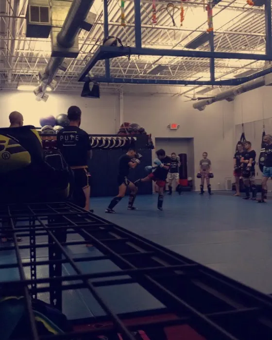 Pure Muay Thai and Fitness Club LLC Picture 5