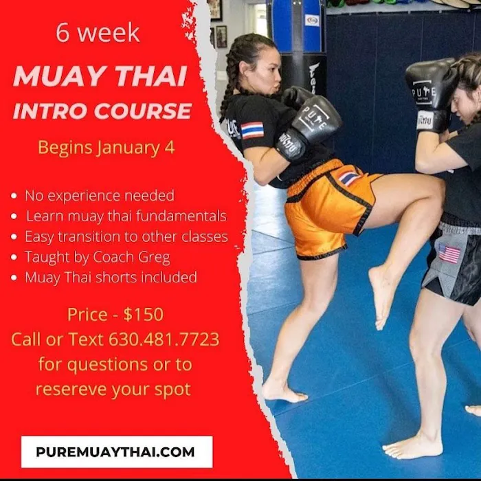Pure Muay Thai and Fitness Club LLC Picture 10
