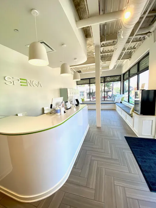 SPENGA Downers Grove Picture 5