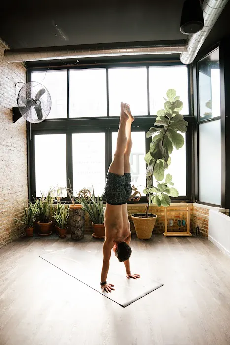 The Lab Yoga Studio Picture 5