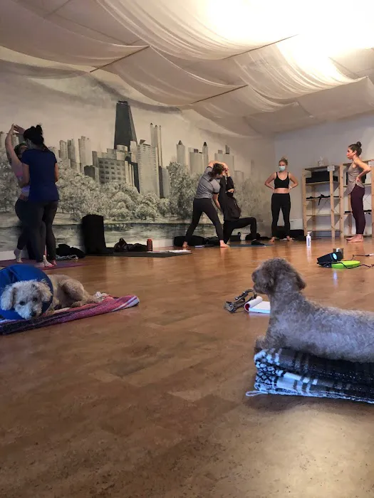 Big Shoulders Yoga Picture 8